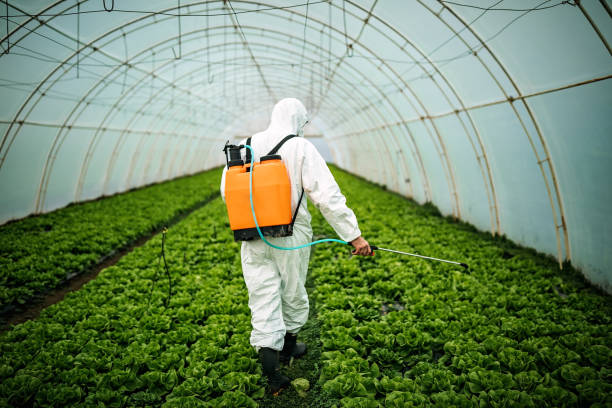 Best Affordable Pest Control Services  in Peralta, NM
