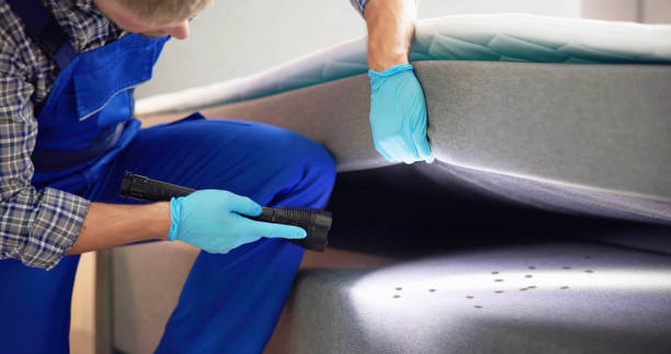 Trusted Peralta, NM Pest Control Experts
